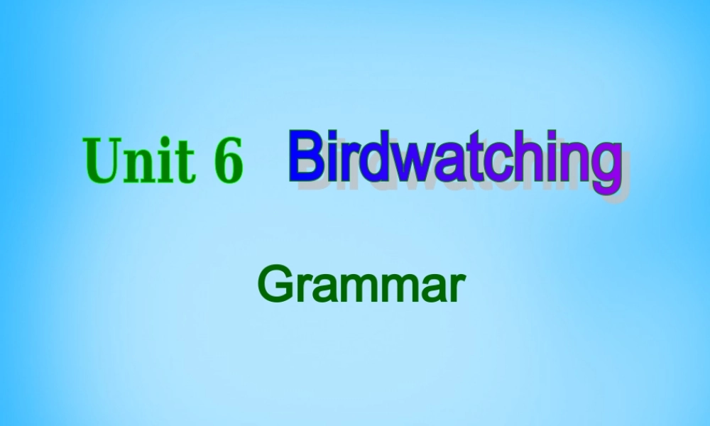 江苏省泰州市沈毅中学八年级英语上册 Unit 6 Bird watching Grammar课件.ppt
