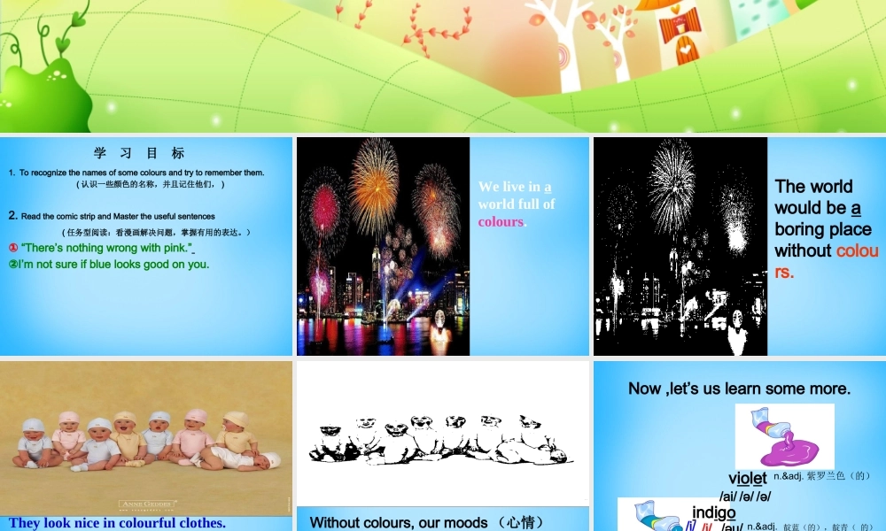 江苏省泰州市沈毅中学九年级英语上册 Unit 2 Colour Welcome to the unit课件 .ppt