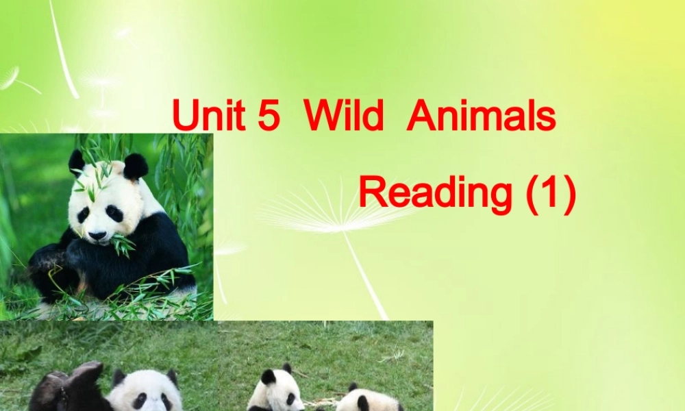江苏省兴化市昭阳湖初级中学八年级英语上册《Unit 5 Wild animals Reading 1》课件.ppt
