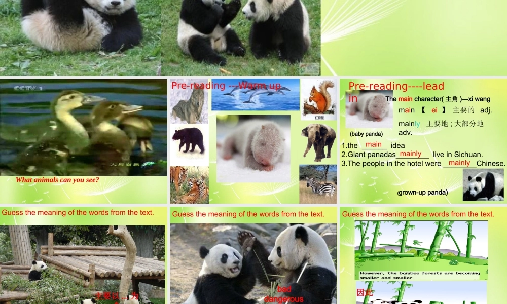 江苏省兴化市昭阳湖初级中学八年级英语上册《Unit 5 Wild animals Reading 1》课件.ppt