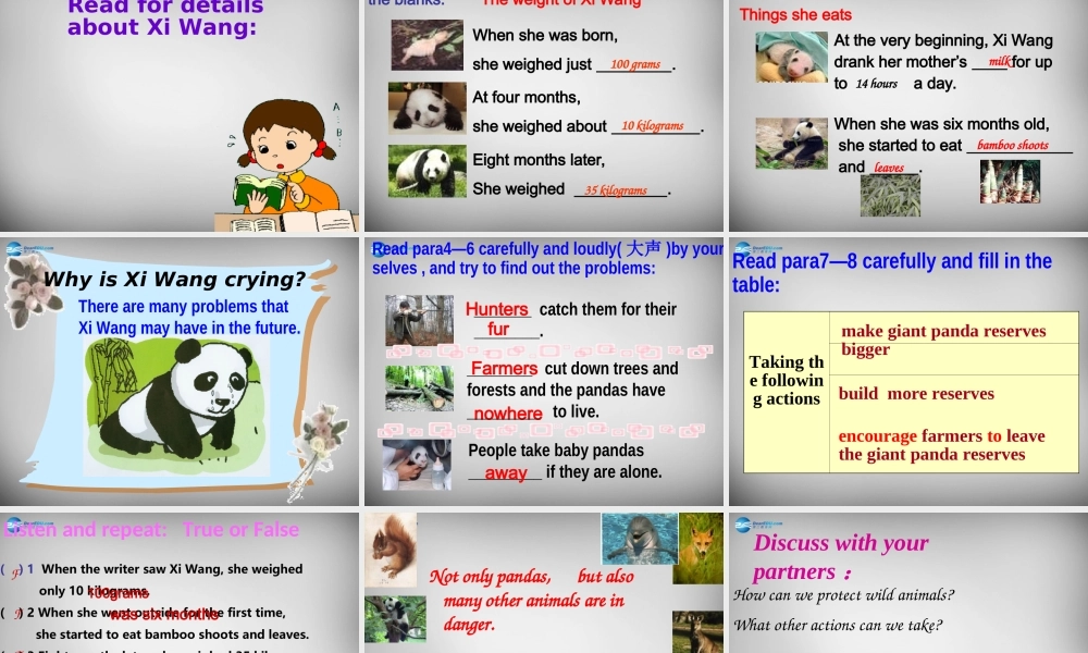 江苏省兴化市昭阳湖初级中学八年级英语上册 Unit 5 Wild animals reading 1课件.ppt