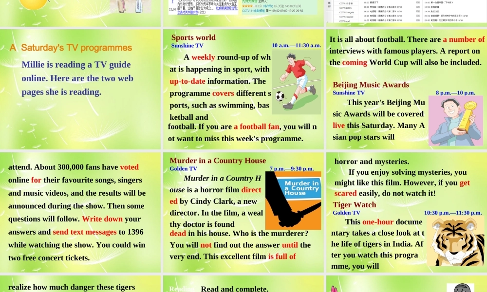 江苏省兴化市昭阳湖初级中学九年级英语上册《Unit 6 TV programmes Reading》课件 .ppt
