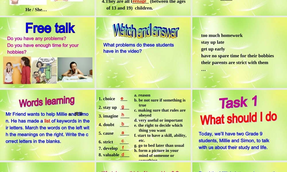 江苏省兴化市昭阳湖初级中学九年级英语上册《Unit 3 Teenage problems Reading》课件 .ppt