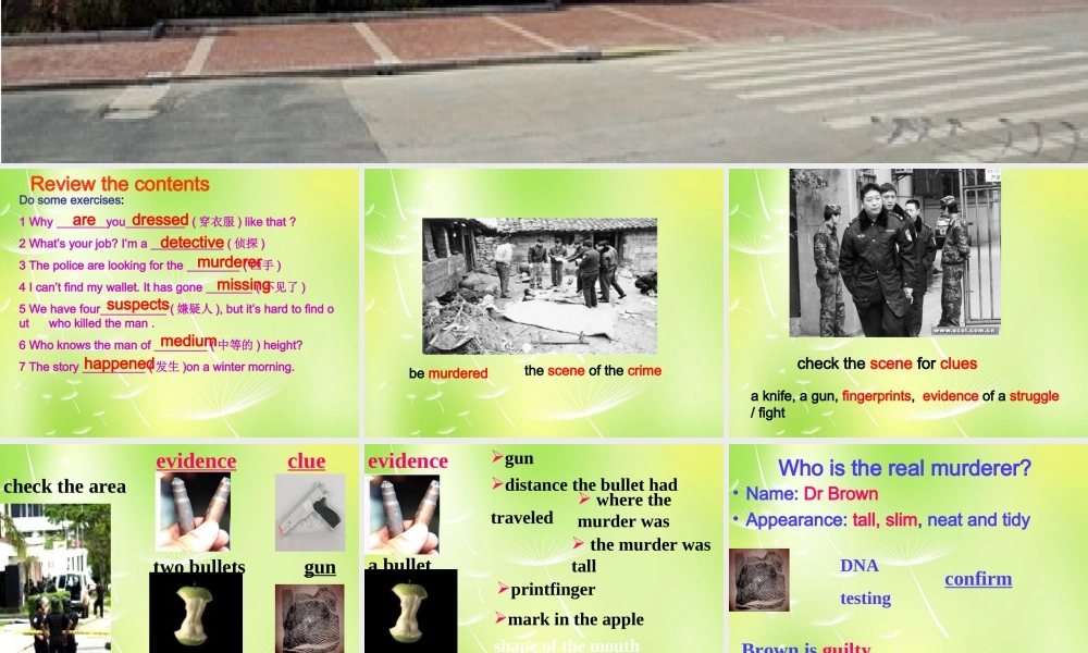 江苏省兴化市昭阳湖初级中学九年级英语上册《Unit 8 Detective Stories Reading 1》课件 .ppt