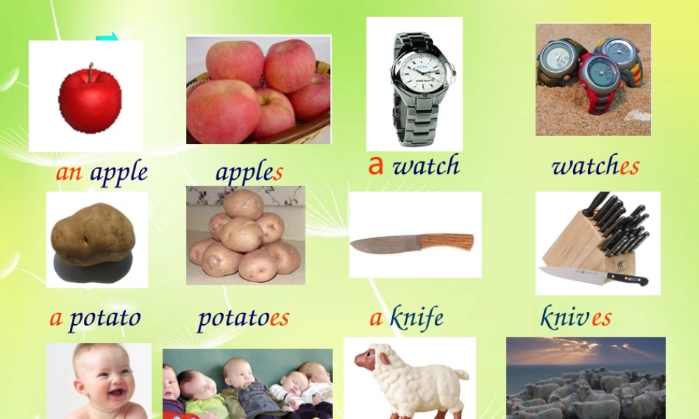 江苏省兴化市昭阳湖初级中学七年级英语上册 Unit 6 Food and Lifestyle integrate skills课件 .ppt