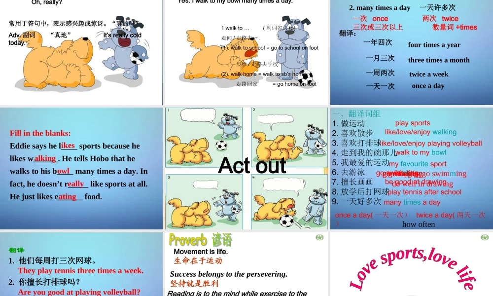 江苏省兴化市昭阳湖初级中学七年级英语上册《Unit 2 Let's play sports》welcome to the Unit课件 .ppt