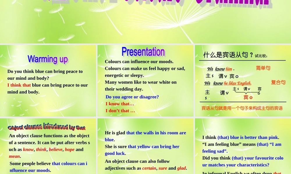 江苏省徐州市沛县杨屯中学九年级英语上册 Unit 2 colour Grammar课件 .ppt