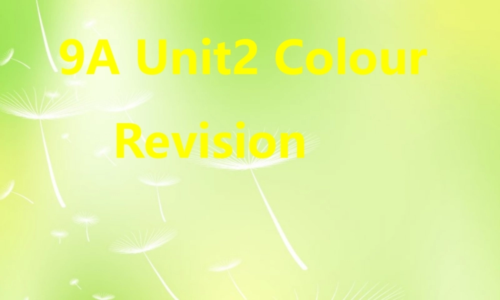 江苏省徐州市沛县杨屯中学九年级英语上册 Unit 2 colour Revision课件 .ppt