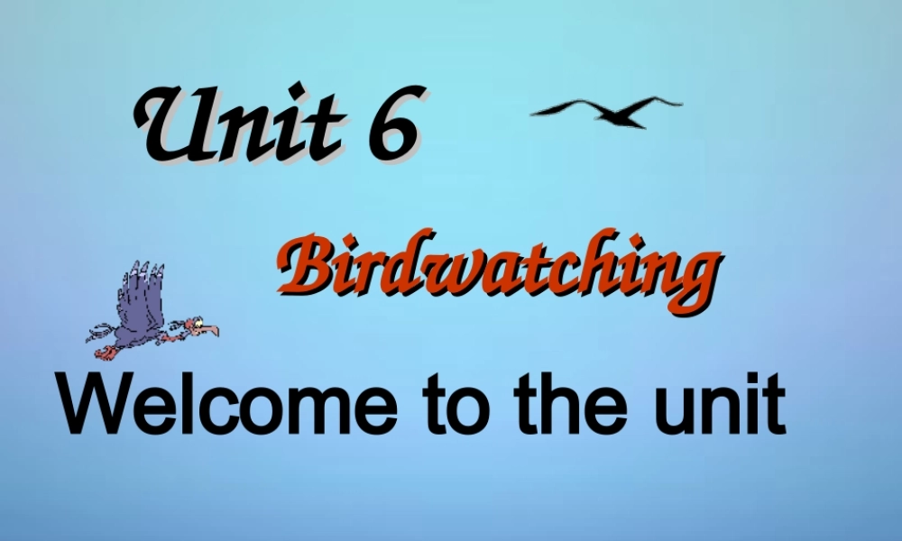江苏省盱眙县黄花塘初级中学八年级英语上册《Unit 6 Bird watching Welcome to the Unit》课件.ppt