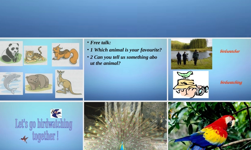 江苏省盱眙县黄花塘初级中学八年级英语上册《Unit 6 Bird watching Welcome to the Unit》课件.ppt