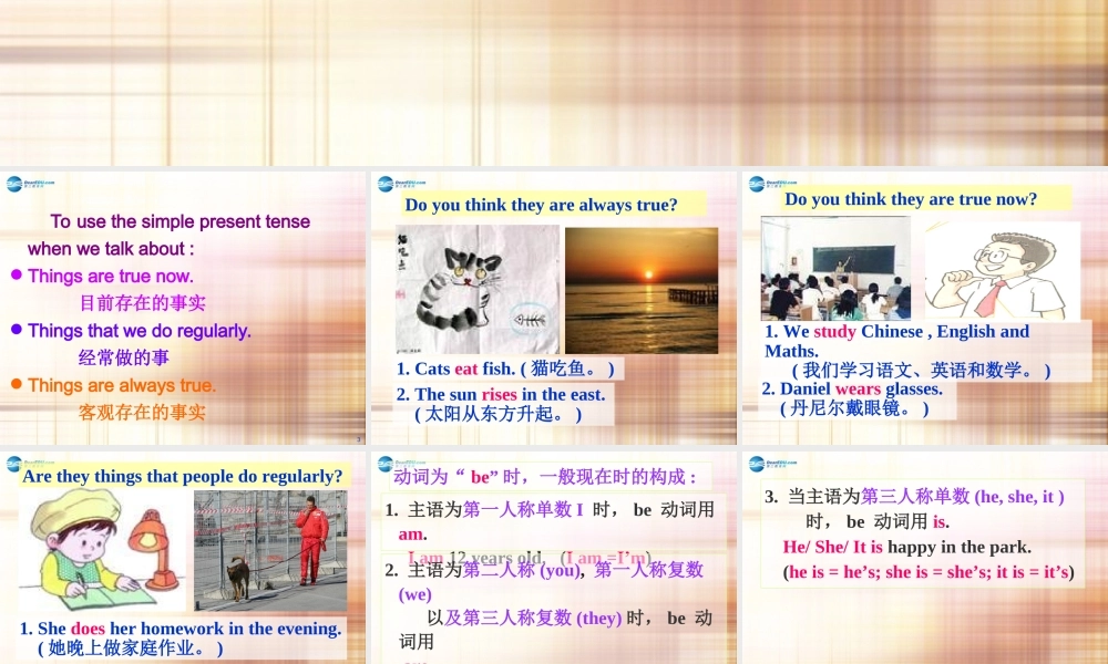 江苏省徐州市沛县杨屯中学七年级英语上册 Unit 1 This is me Grammar课件 .ppt