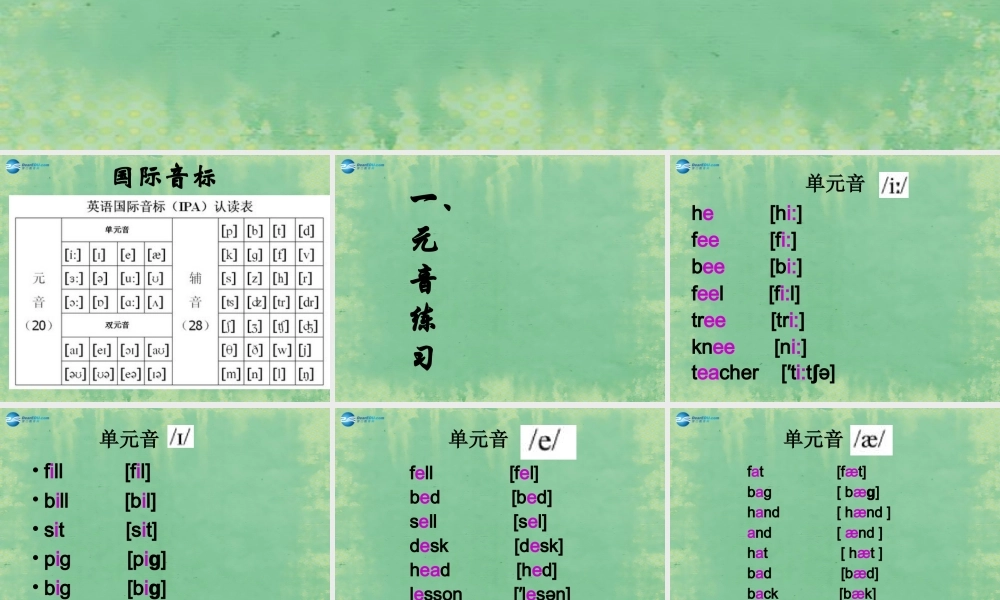 江苏省徐州市沛县杨屯中学七年级英语上册 Unit 1 This is me 音标课件 .ppt