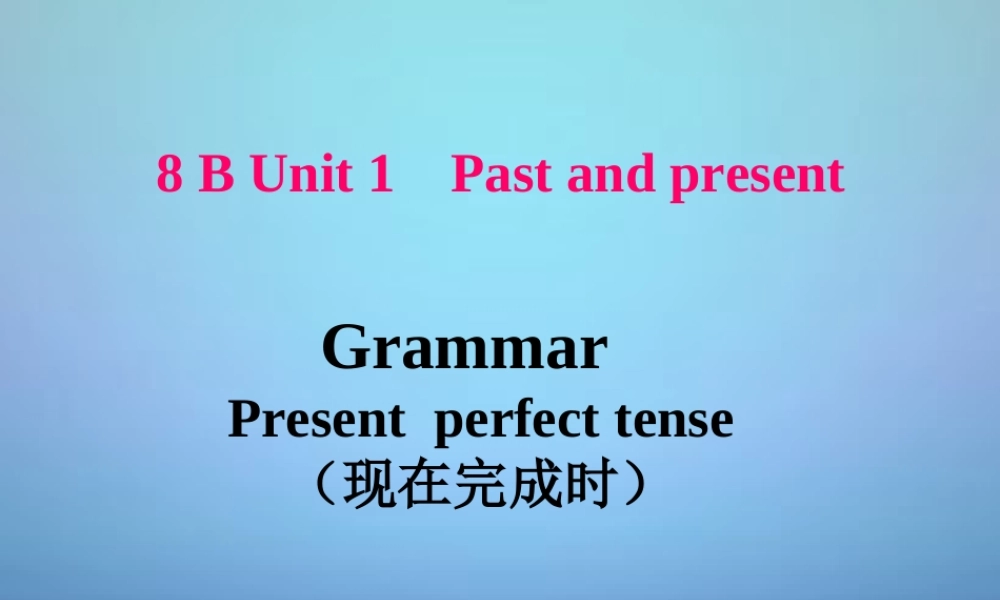 江苏省徐州市睢宁县宁海外国语学校八年级英语下册《Unit 1 Past and Present》Grammar课件 .ppt