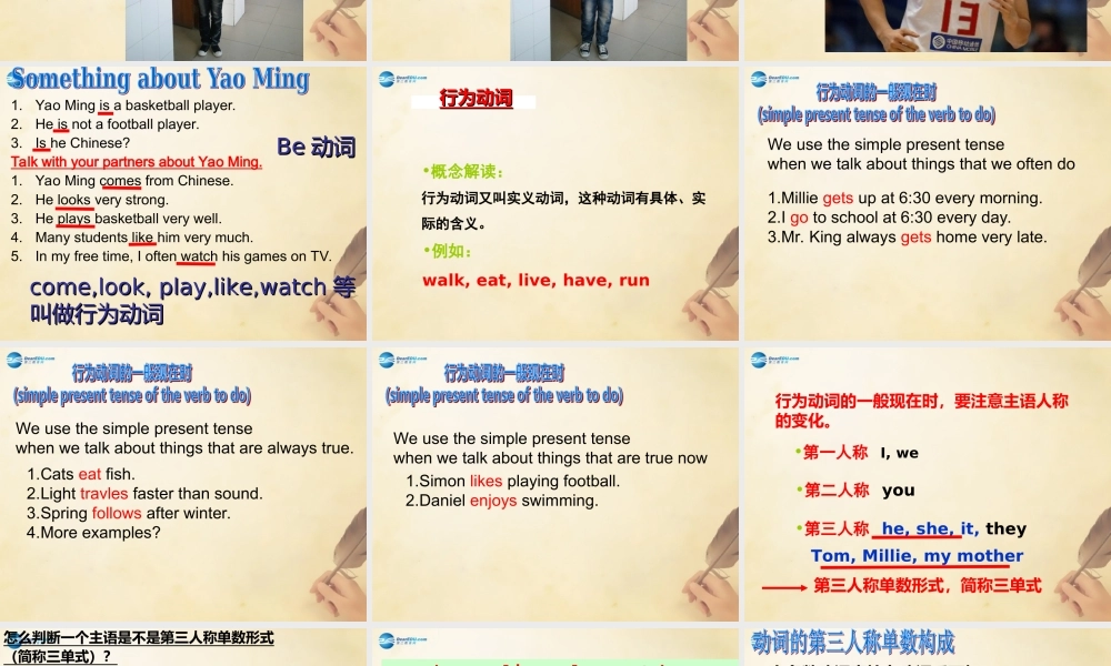 江苏省徐州市沛县杨屯中学七年级英语上册 Unit 2 Let’s play sports grammar 2课件 .ppt