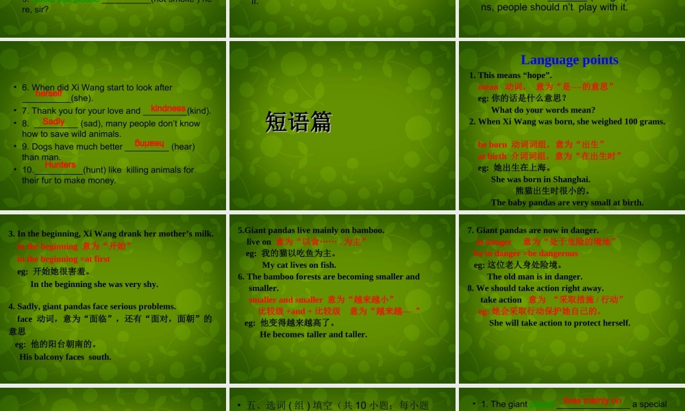 江苏省盐城市大丰市万盈第二中学八年级英语上册 Unit 5 Wild animals复习课件1.ppt