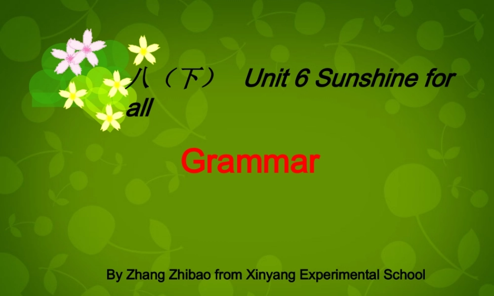 江苏省盐城市大丰市万盈第二中学八年级英语下册 Unit 6 Sunshine for all Grammar 1课件 .ppt