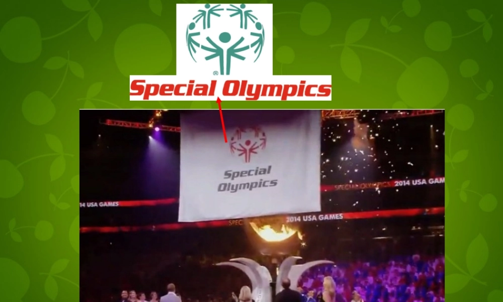 江苏省盐城市大丰市万盈第二中学八年级英语下册 Unit 6 Sunshine for all Reading 1课件 .ppt