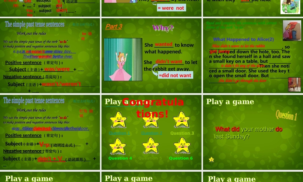 江苏省盐城市大丰市万盈第二中学八年级英语下册 Unit 6 Sunshine for all Grammar 4课件 .ppt