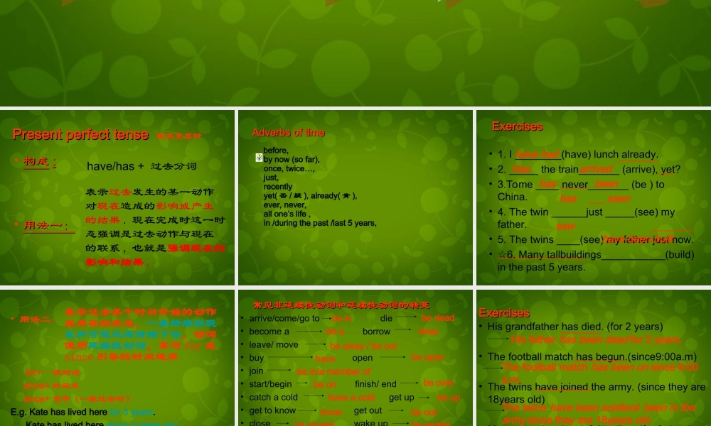 江苏省盐城市大丰市万盈第二中学八年级英语下册 现在完成时课件 .ppt