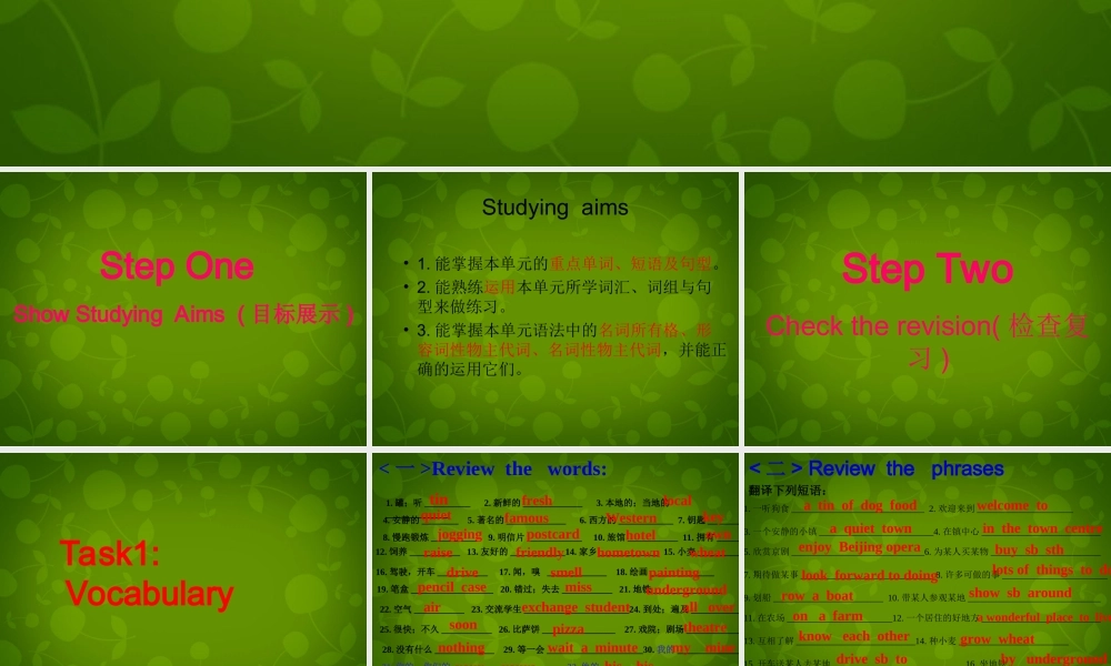 江苏省盐城市大丰市万盈第二中学七年级英语下册 Unit 3 Welcome to Sunshine Town复习课件 .ppt