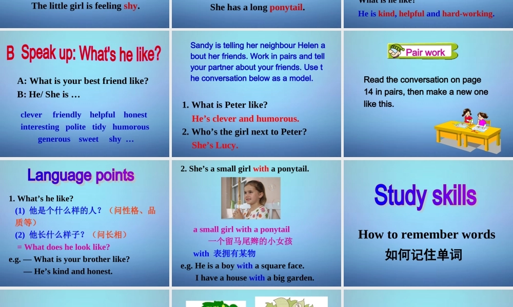 江苏省盐城市亭湖新区实验学校八年级英语上册 Unit 1 Friends Integrated skills B & Study skills课件.ppt