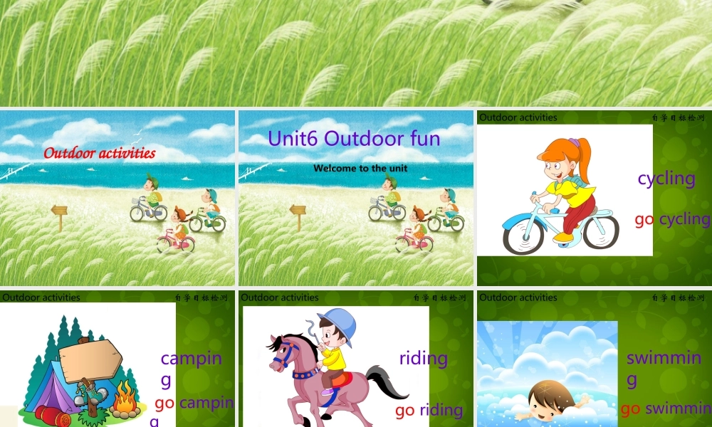 江苏省盐城市大丰市万盈第二中学七年级英语下册 Unit 6 Outdoor fun课件 .ppt