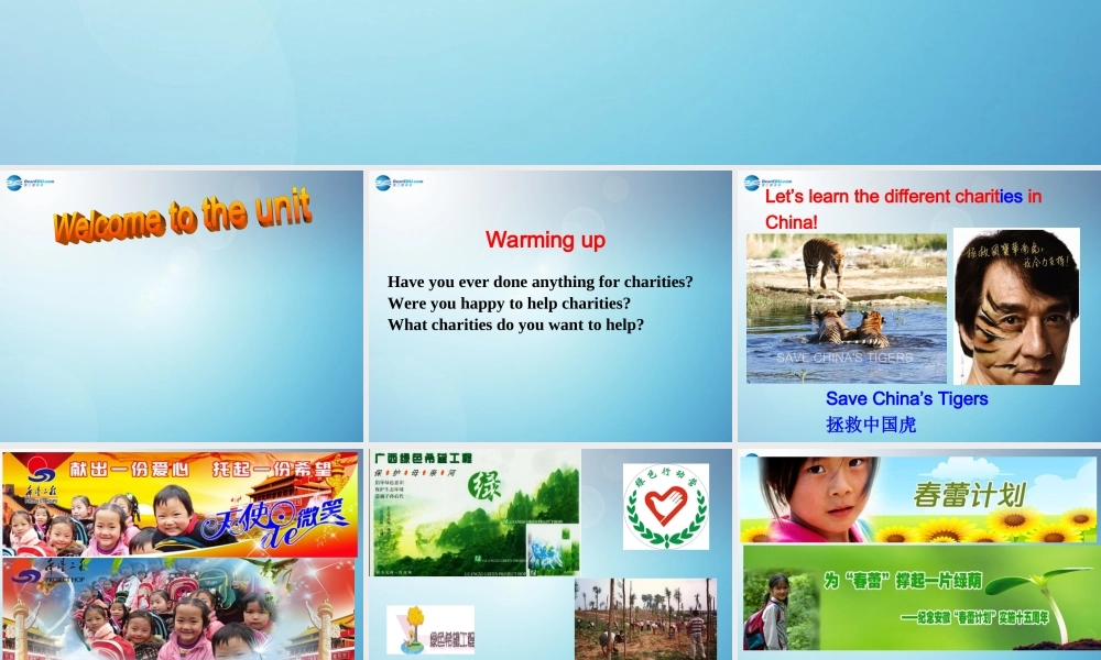 江苏省盐城市永丰初级中学八年级英语下册 Unit 7 International charities课件 .ppt