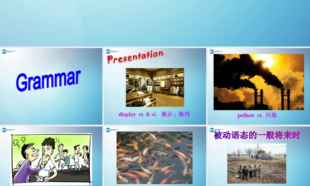 江苏省盐城市永丰初级中学八年级英语下册 Unit 8 A green world Grammar课件 .ppt