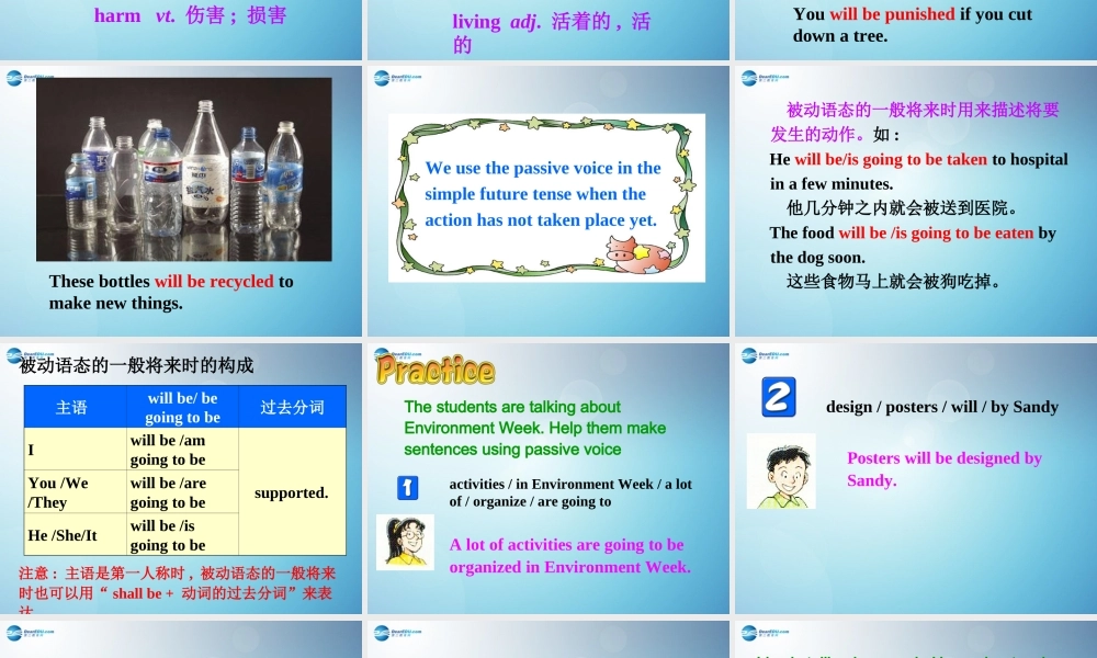 江苏省盐城市永丰初级中学八年级英语下册 Unit 8 A green world Grammar课件 .ppt