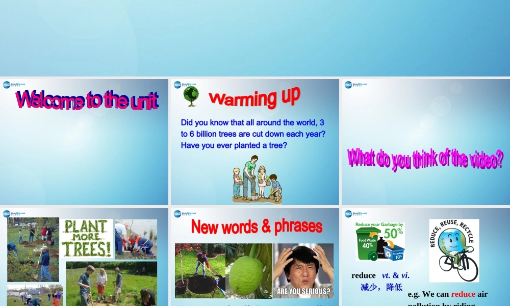 江苏省盐城市永丰初级中学八年级英语下册 Unit 8 A green world课件 .ppt