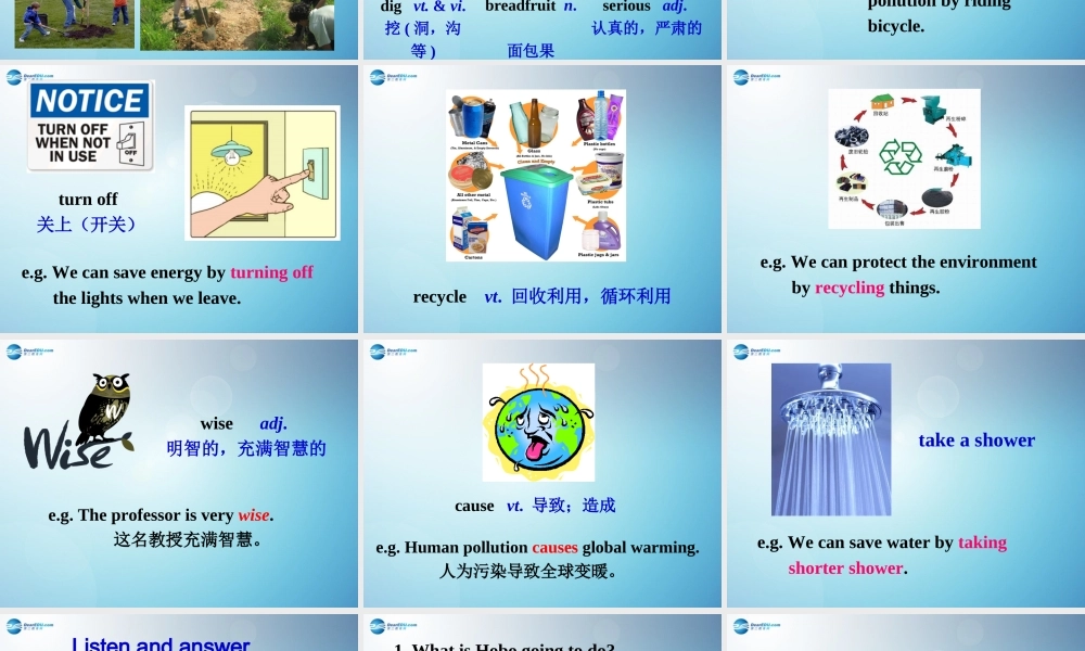 江苏省盐城市永丰初级中学八年级英语下册 Unit 8 A green world课件 .ppt