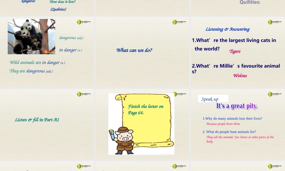 江苏省扬中市同德中学八年级英语上册 8A Unit 5 Wild animals课件3.ppt