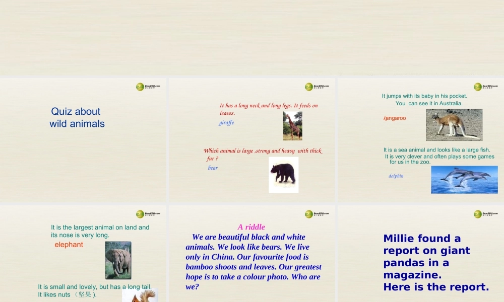 江苏省扬中市同德中学八年级英语上册 8A Unit 5 Wild animals课件4.ppt