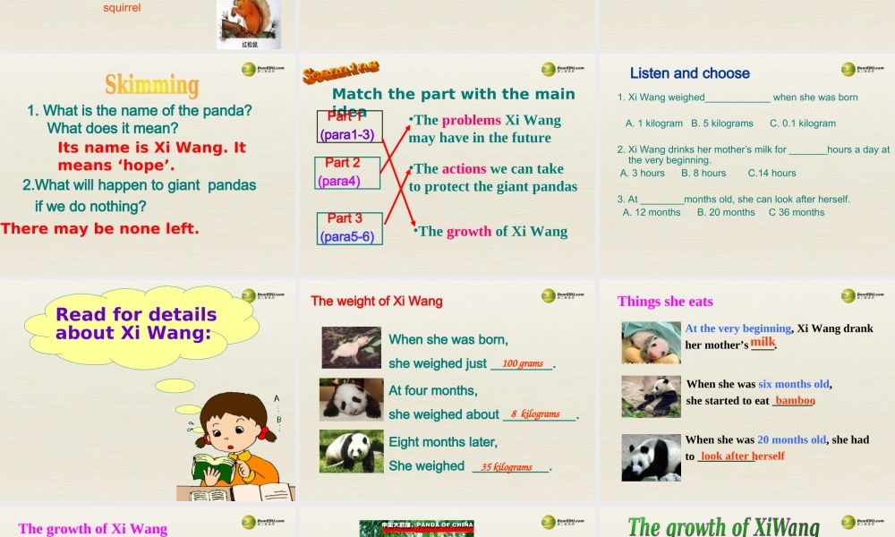 江苏省扬中市同德中学八年级英语上册 8A Unit 5 Wild animals课件4.ppt