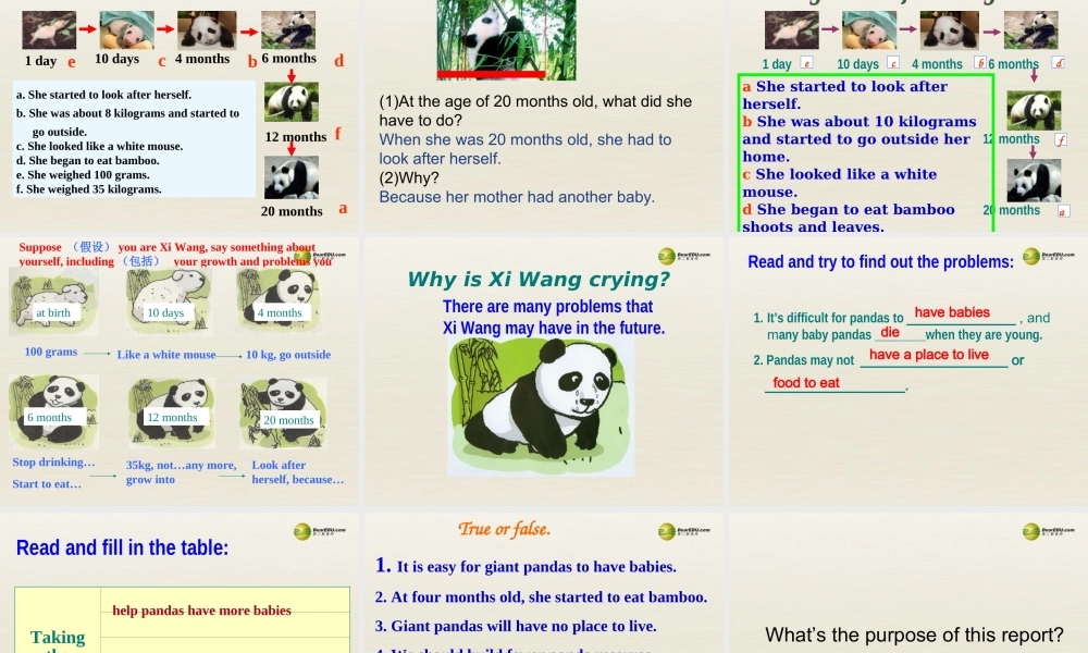 江苏省扬中市同德中学八年级英语上册 8A Unit 5 Wild animals课件4.ppt