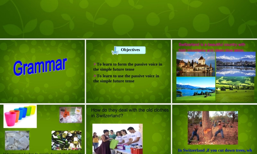 江苏省仪征市月塘中学八年级英语下册 Unit 8 A green World grammar课件1 .ppt