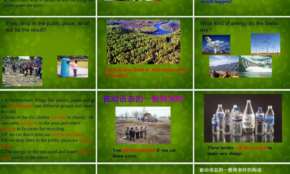 江苏省仪征市月塘中学八年级英语下册 Unit 8 A green World grammar课件1 .ppt