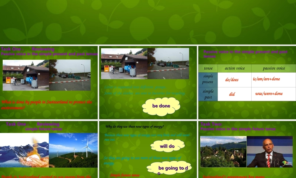 江苏省仪征市月塘中学八年级英语下册 Unit 8 A green world Grammar课件2 .ppt