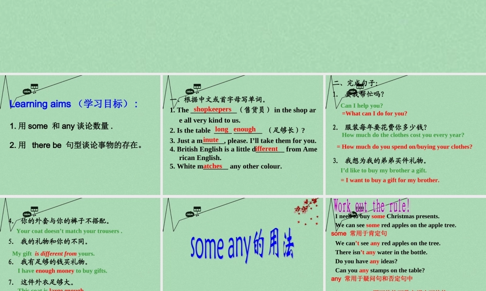 江苏省仪征市月塘中学七年级英语上册 Unit 7 Shopping Grammar课件 .ppt