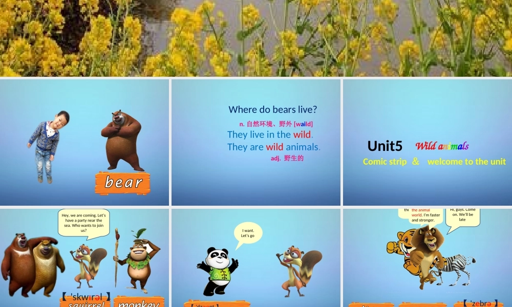 江苏省永丰初级中学八年级英语上册 Unit 5 Wild animals课件.ppt