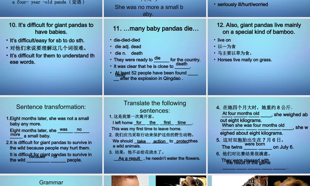 江苏省永丰初级中学八年级英语上册 Unit 5 Wild animals Welcome to the unit课件.ppt