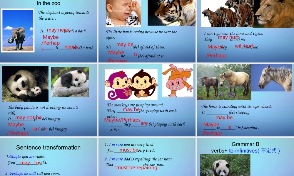 江苏省永丰初级中学八年级英语上册 Unit 5 Wild animals Welcome to the unit课件.ppt