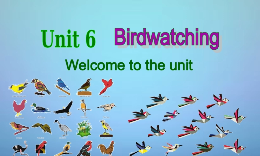 江苏省永丰初级中学八年级英语上册 Unit 6 Bird watching Welcome to the unit课件.ppt