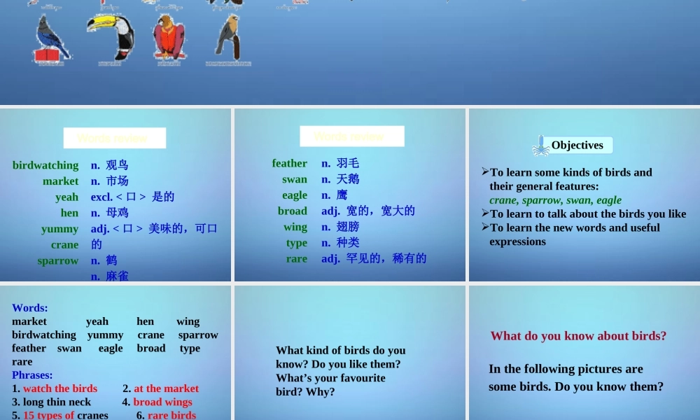 江苏省永丰初级中学八年级英语上册 Unit 6 Bird watching Welcome to the unit课件.ppt