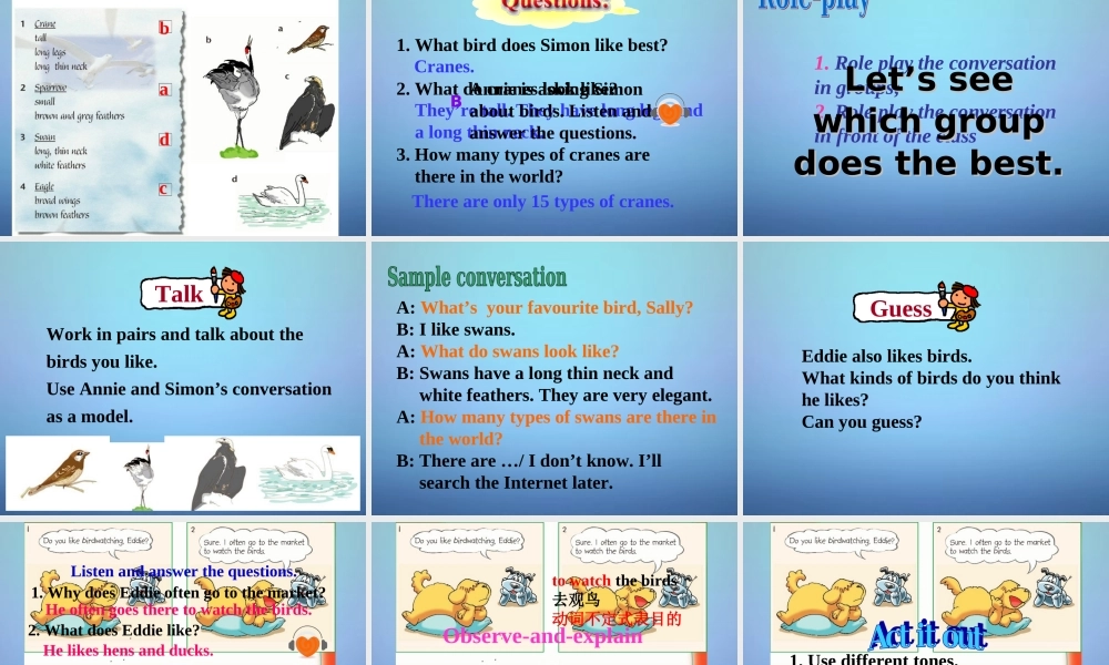 江苏省永丰初级中学八年级英语上册 Unit 6 Bird watching Welcome to the unit课件.ppt