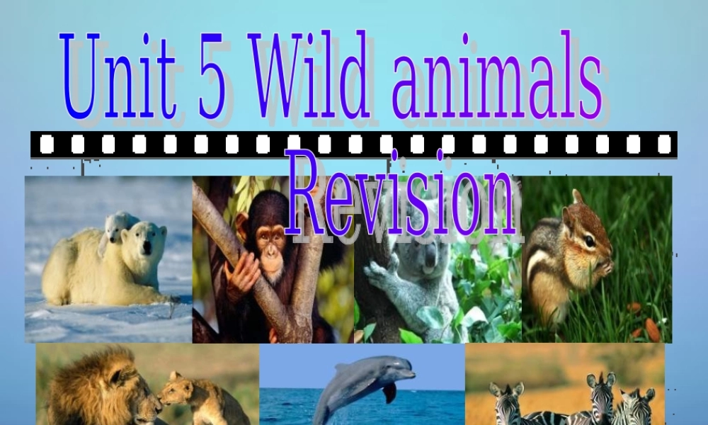 江苏省永丰初级中学八年级英语上册 Unit 5 Wild animals复习课件.ppt
