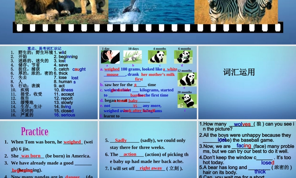 江苏省永丰初级中学八年级英语上册 Unit 5 Wild animals复习课件.ppt