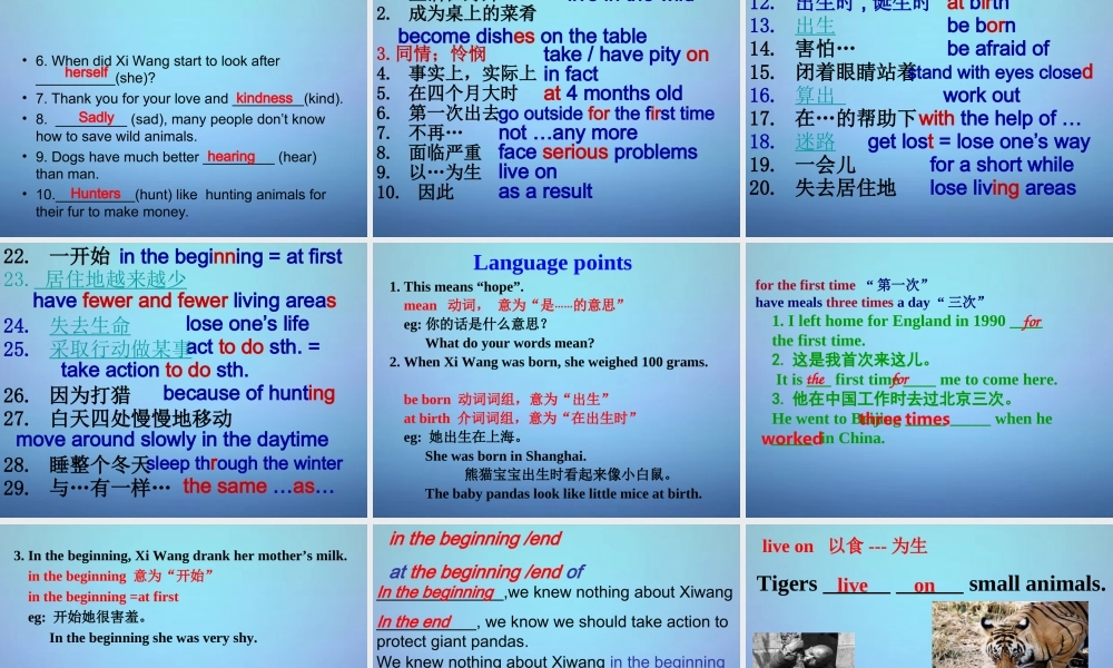 江苏省永丰初级中学八年级英语上册 Unit 5 Wild animals复习课件.ppt