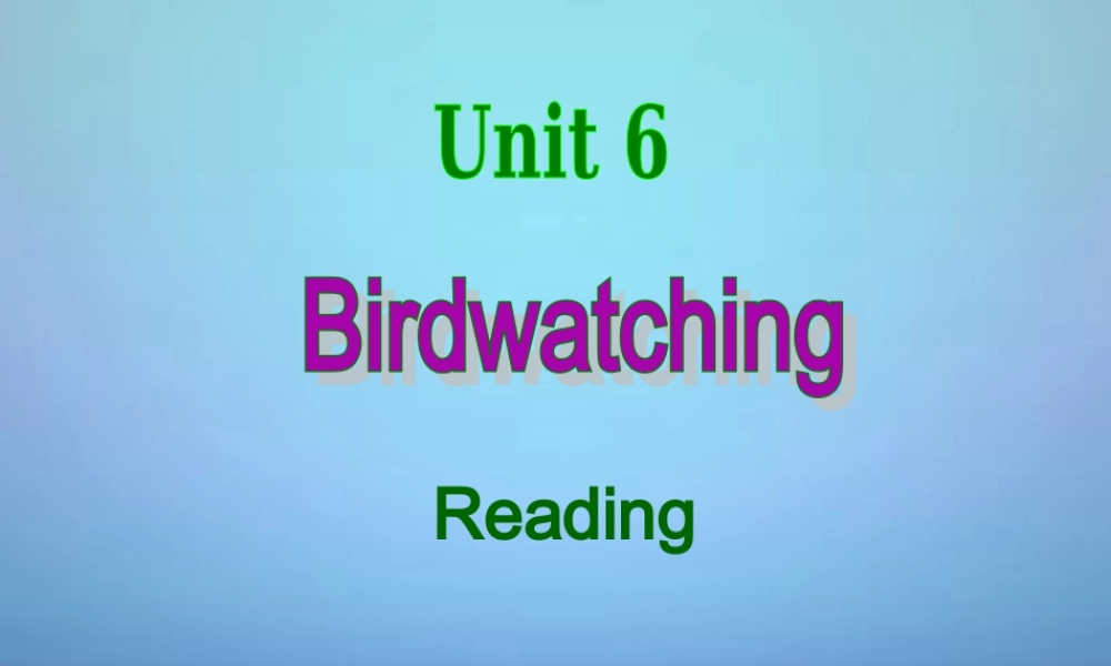 江苏省永丰初级中学八年级英语上册 Unit 6 Bird watching Reading课件1.ppt