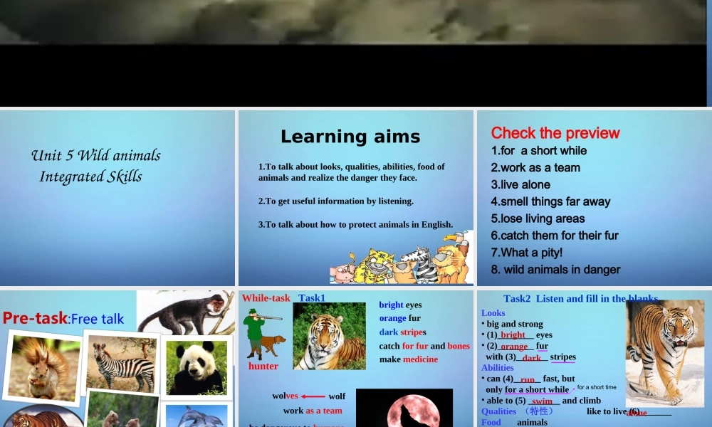 江苏省永丰初级中学八年级英语上册 Unit 5 Wild animals Integrated skills课件.ppt
